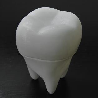 Макет-шкатулки зуба